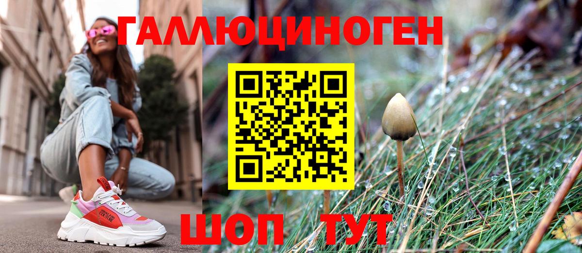 Можайск  Галлюциногенные грибы Psilocybe  Вход с VPN  Псилоцибиновые грибы мицелий 